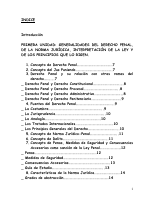 LIBRO TEORIA DELITO I.pdf